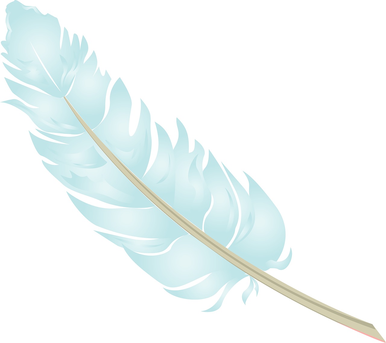 feather blue baby blue free photo