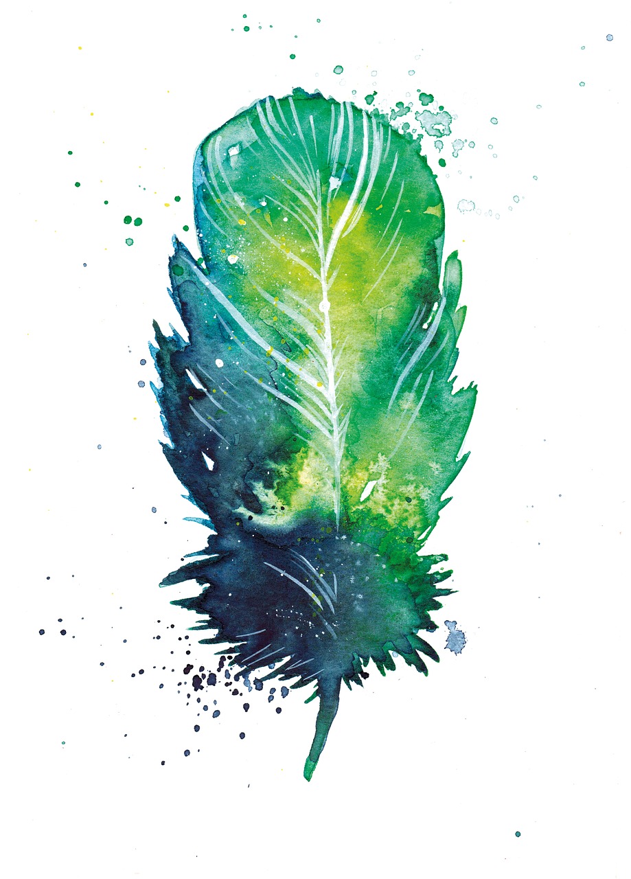 feather  watercolour  watercolor free photo