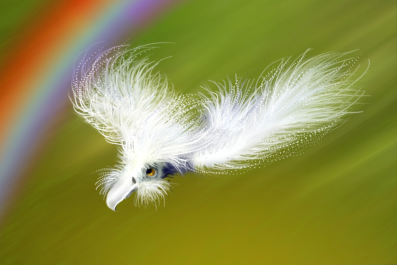 feather spring bird fantasy free photo