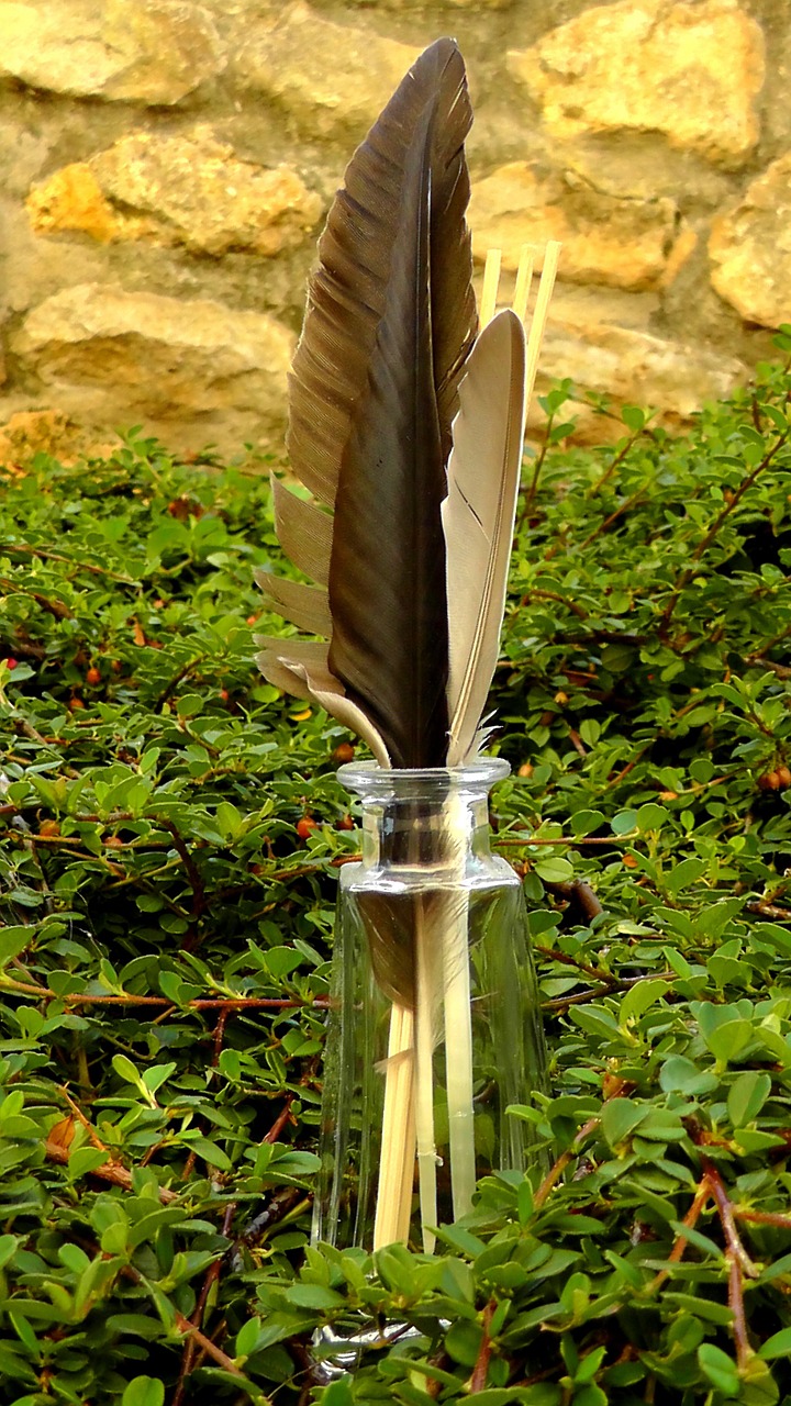 feather bird feathers vase free photo