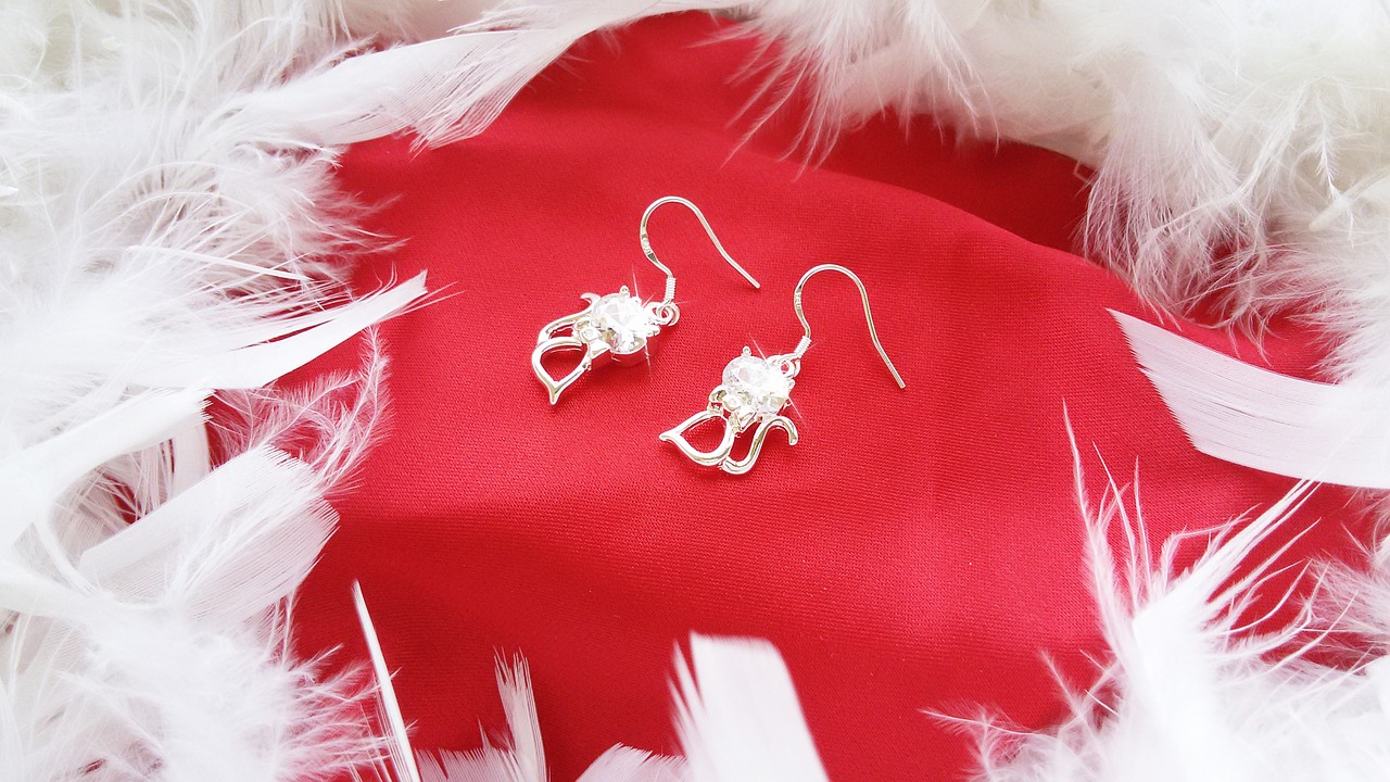 feather cats earrings free photo