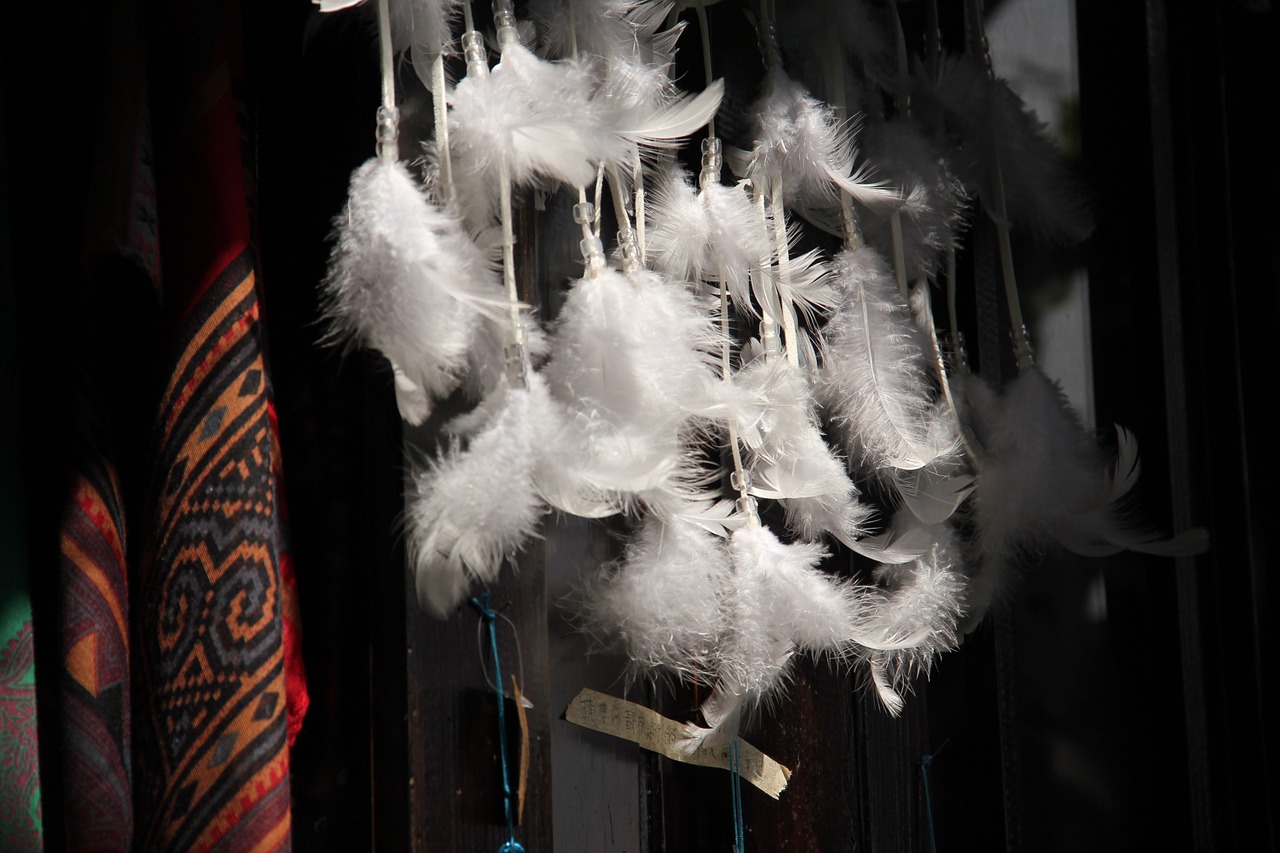 feather the scenery old street free photo