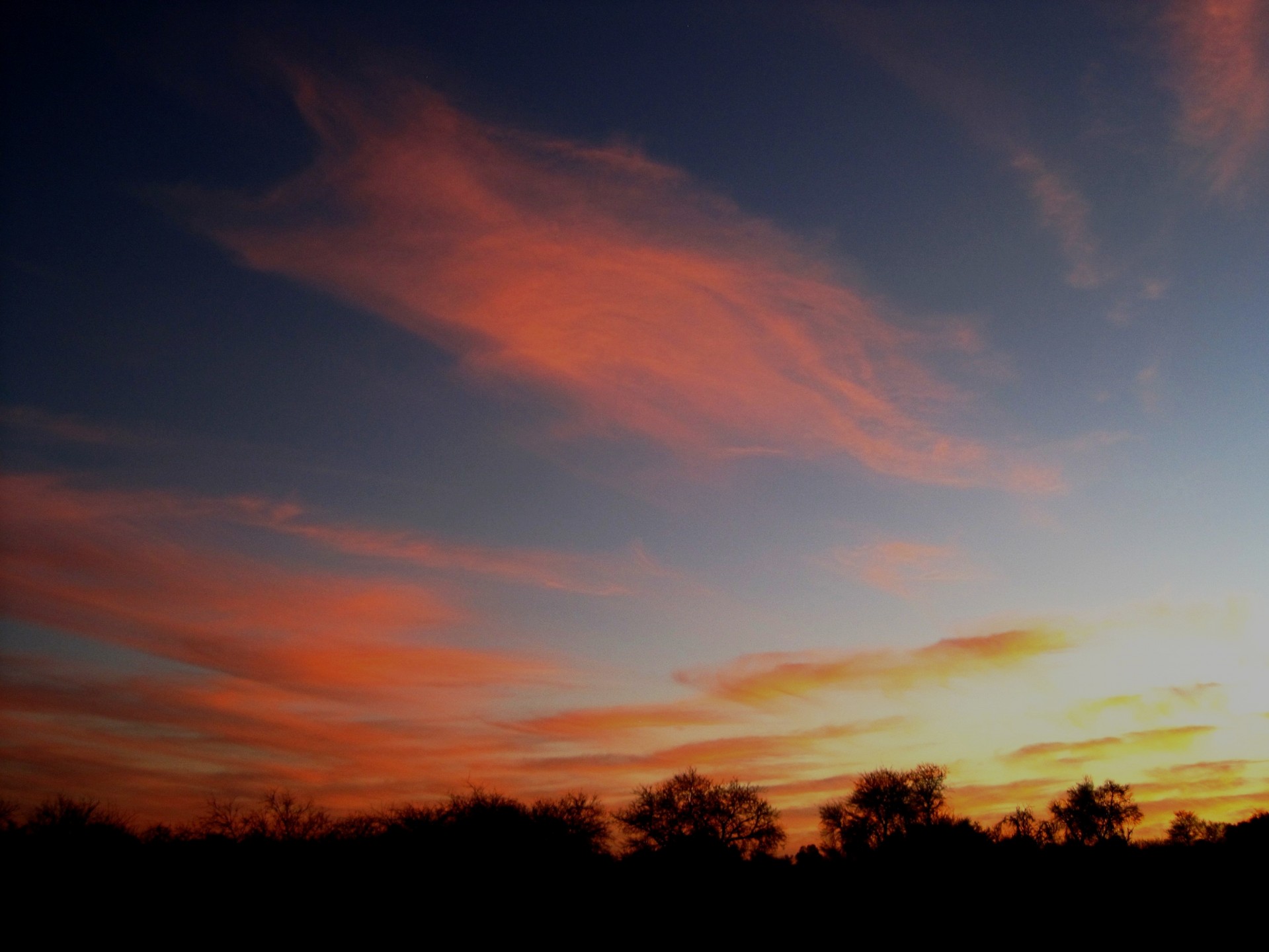 clouds feather light free photo