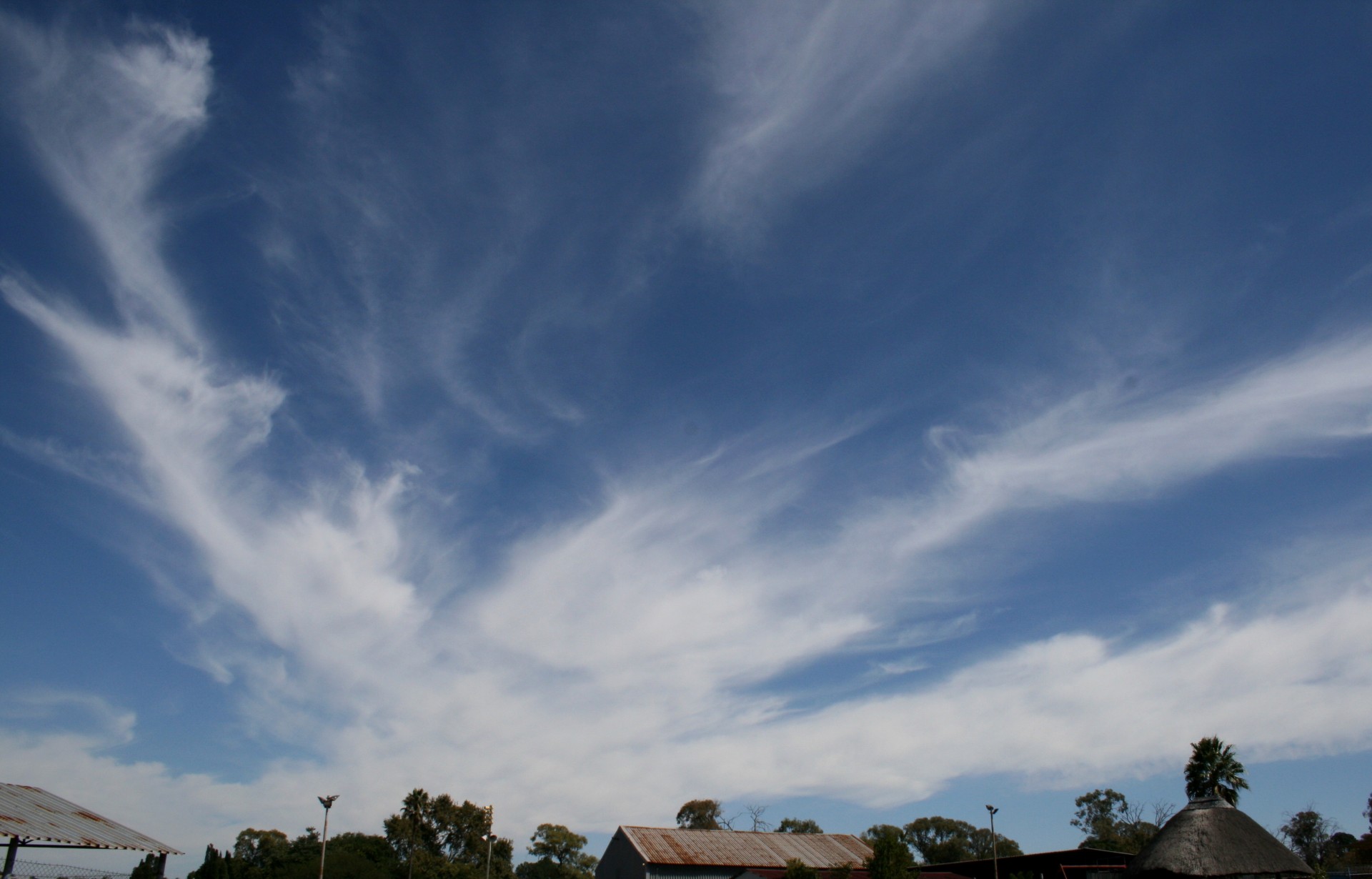 clouds feather thin free photo