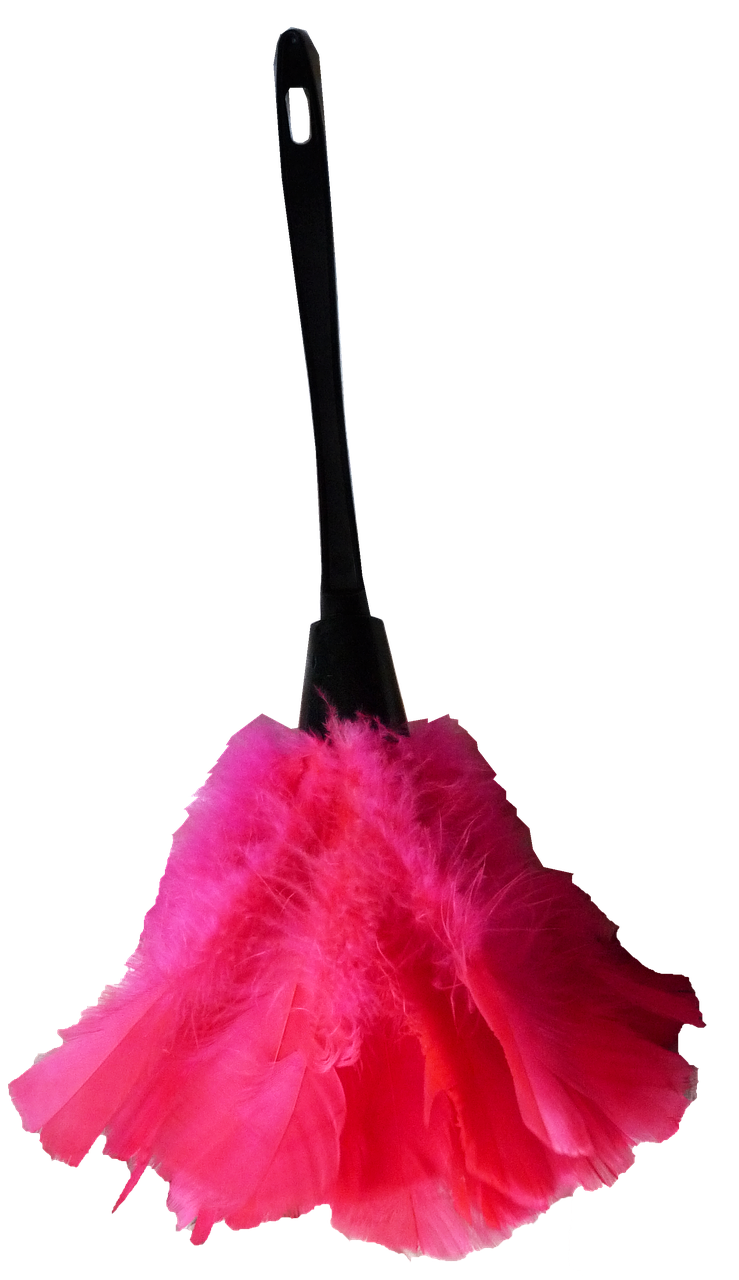 feather duster housework cleaning free photo