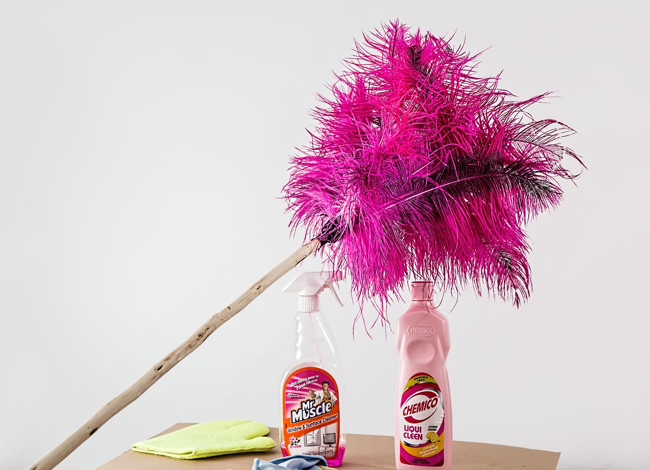 feather duster cleaning housework free photo