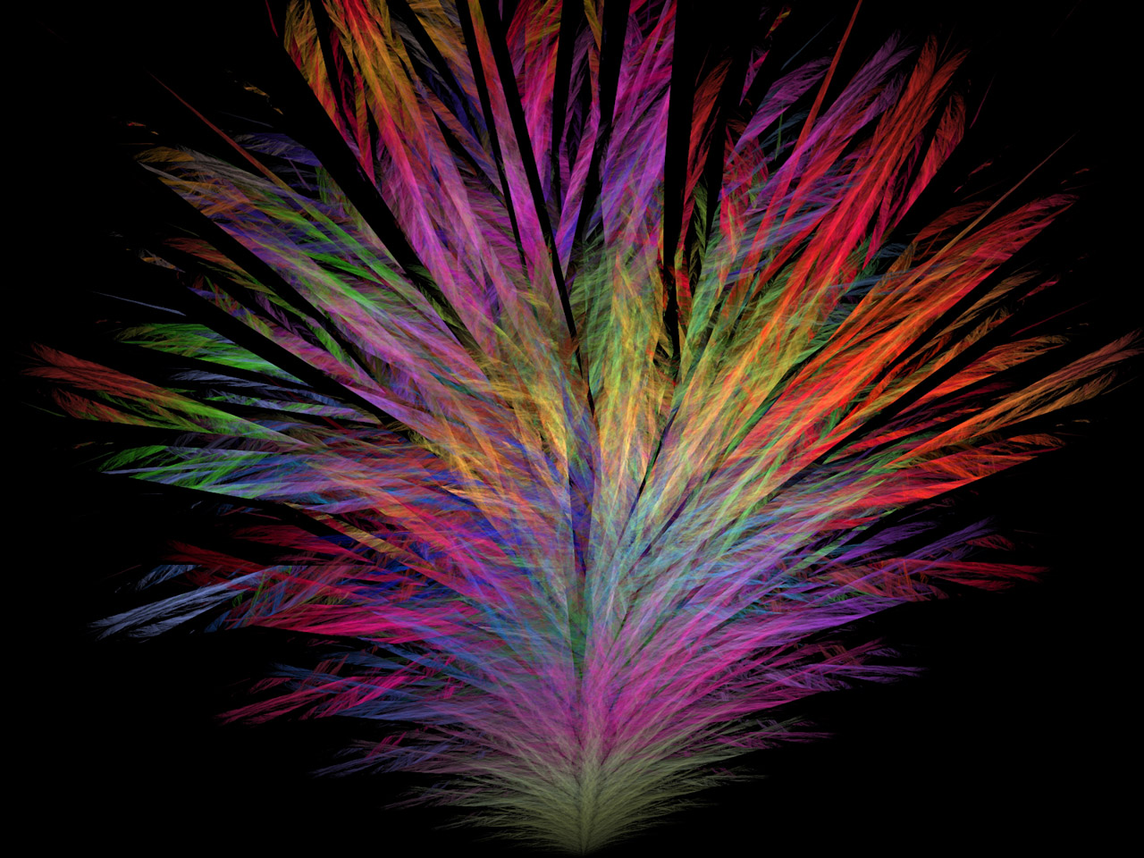 fractal colourful feather duster free photo