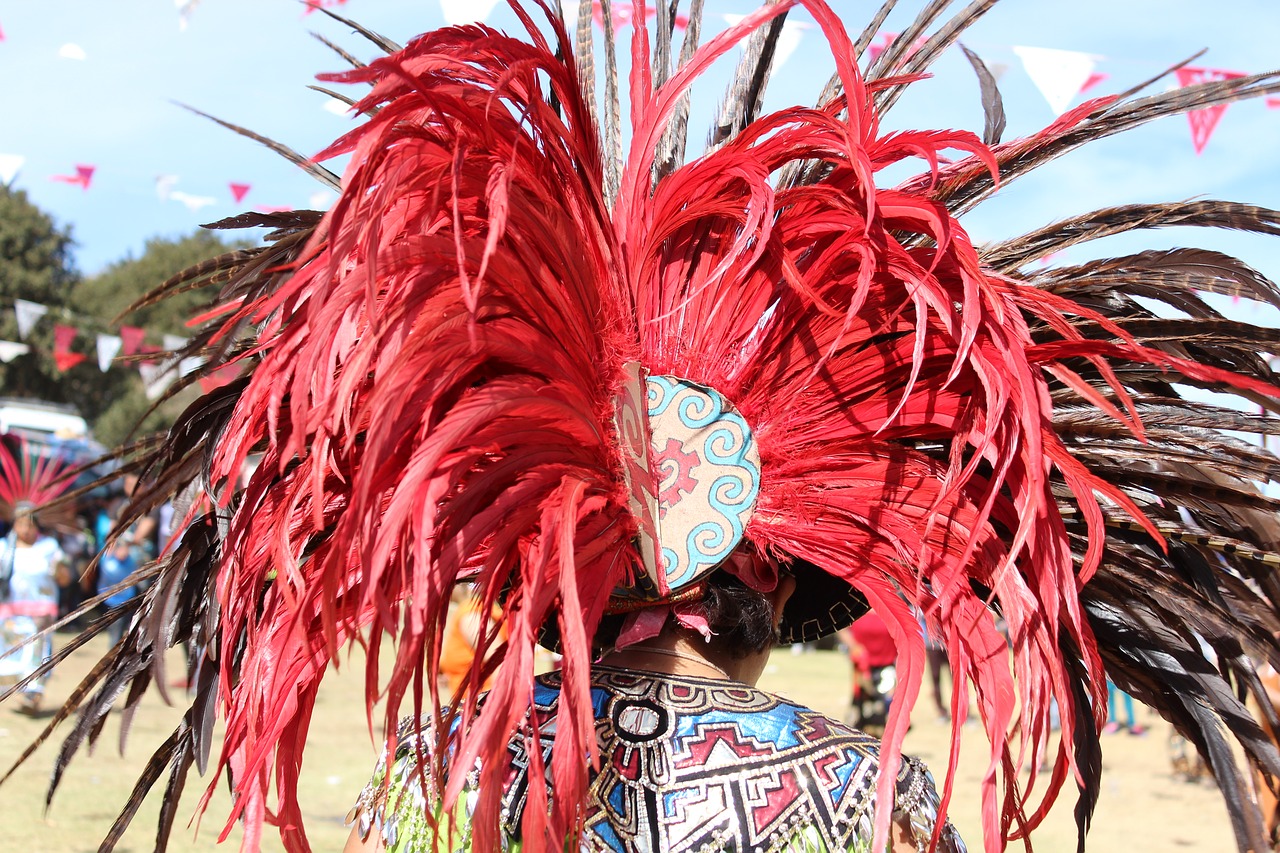 feathers tuft red free photo