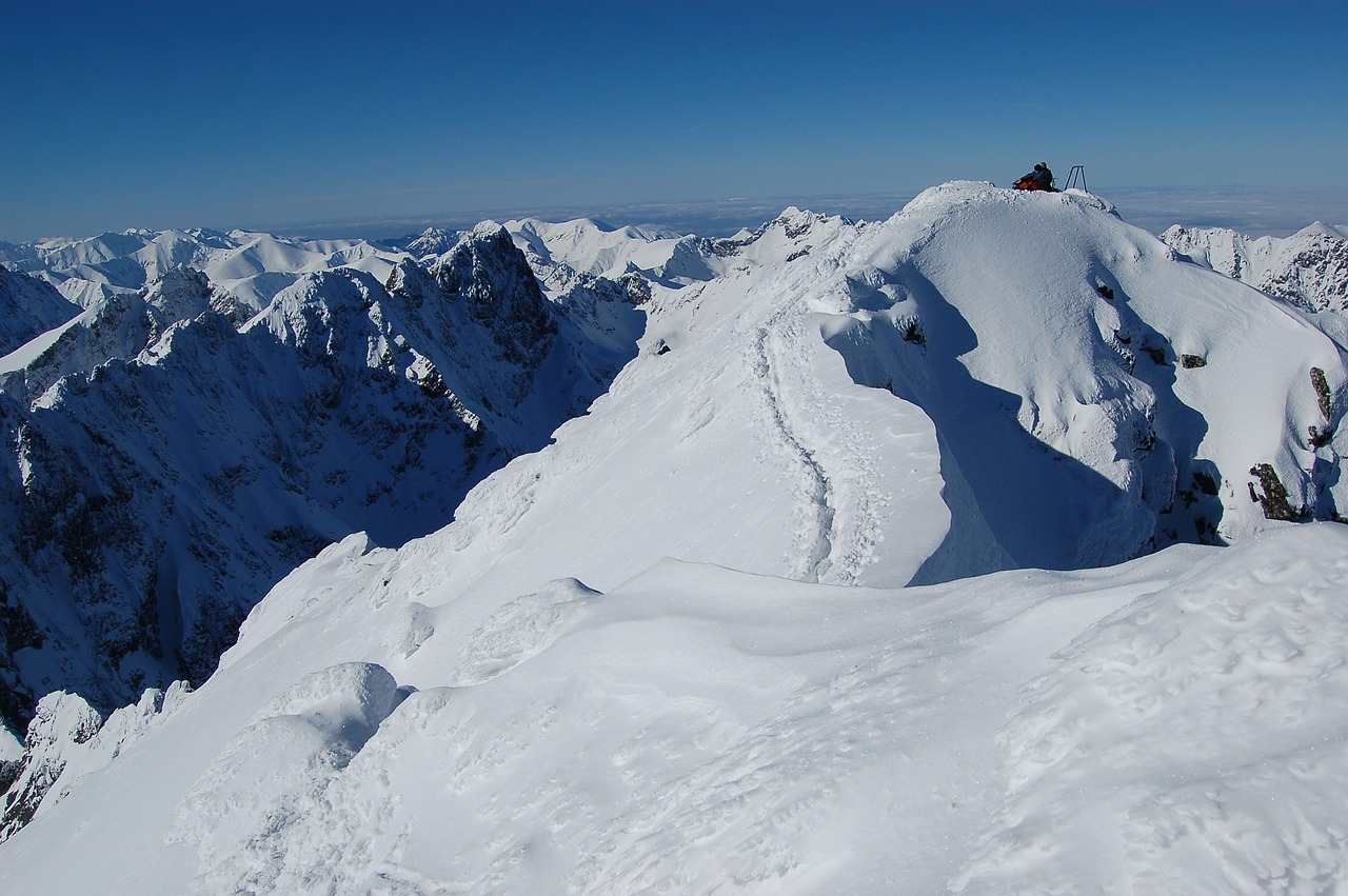 features the features of the face in the winter scratches tatras free photo