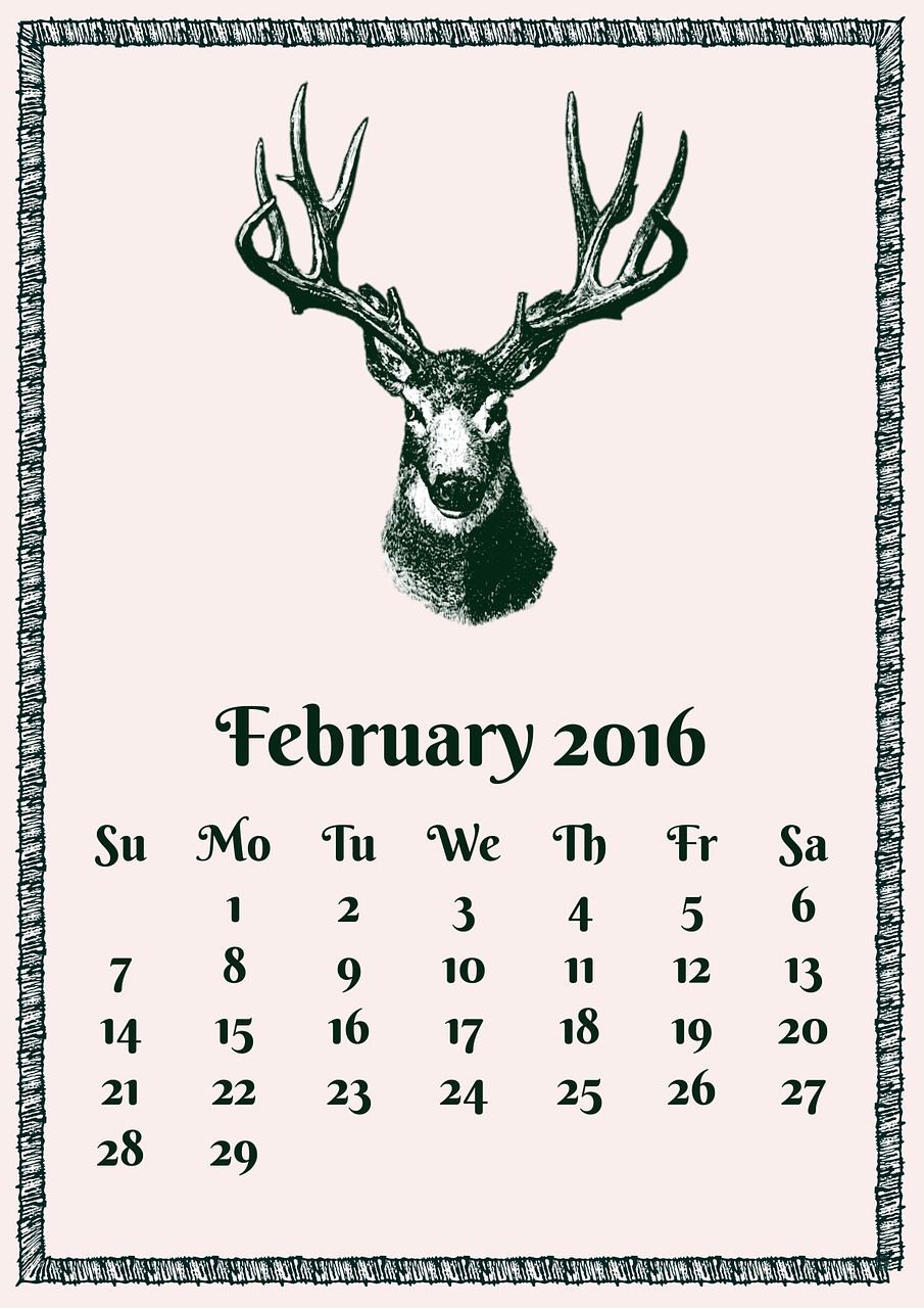 february 2016 february 2016 free photo