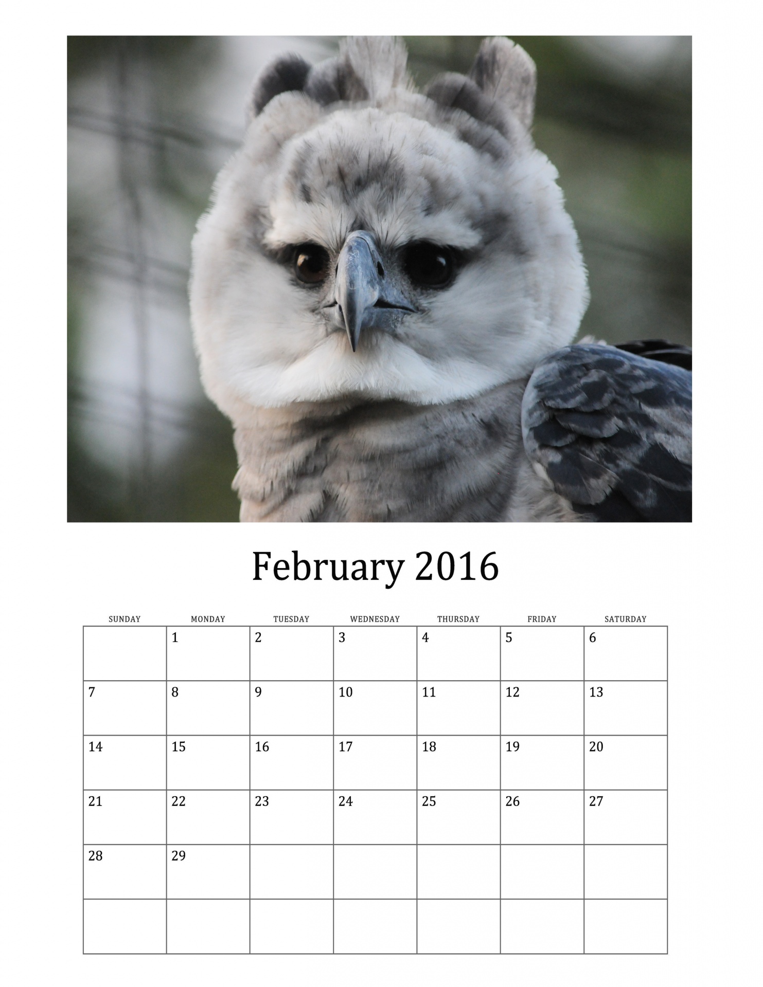 2016 february 2016 calendar monthly calendar free photo