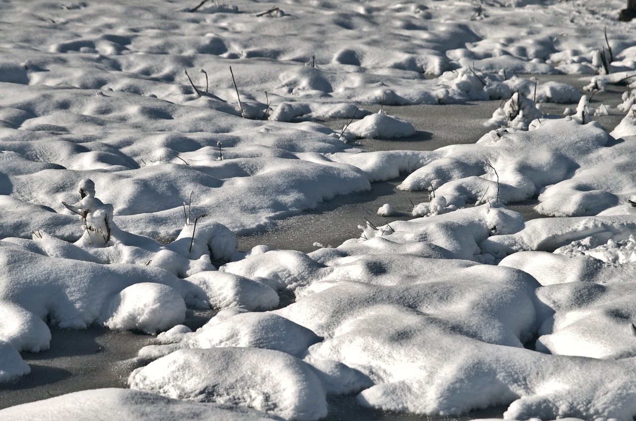 february  winter  nature free photo