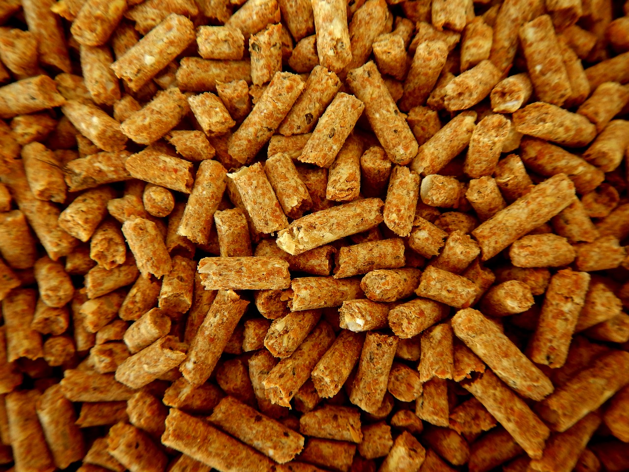 feed animal nutrition pellets free photo
