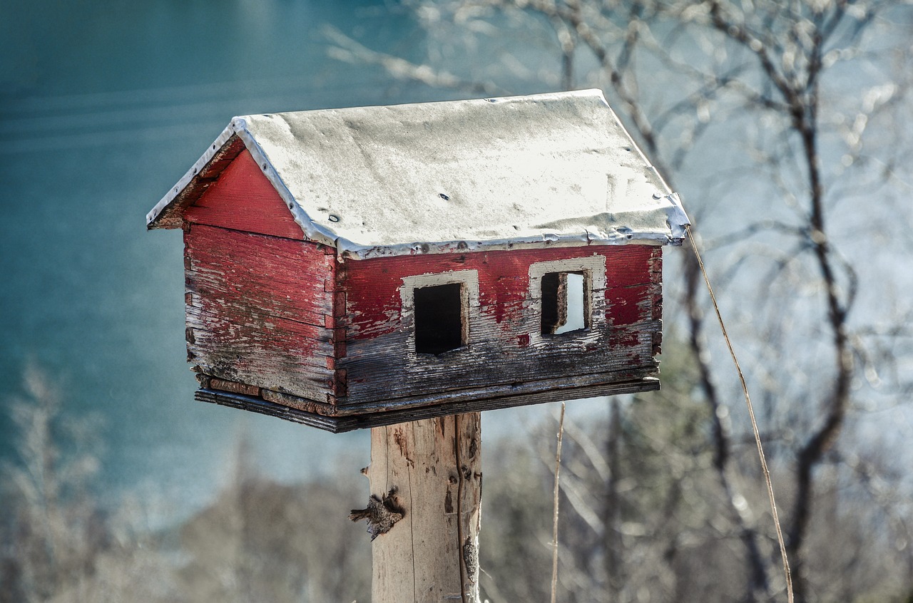 feeder house bird free photo