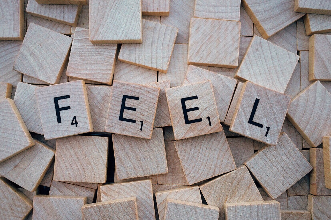 feel word letters free photo