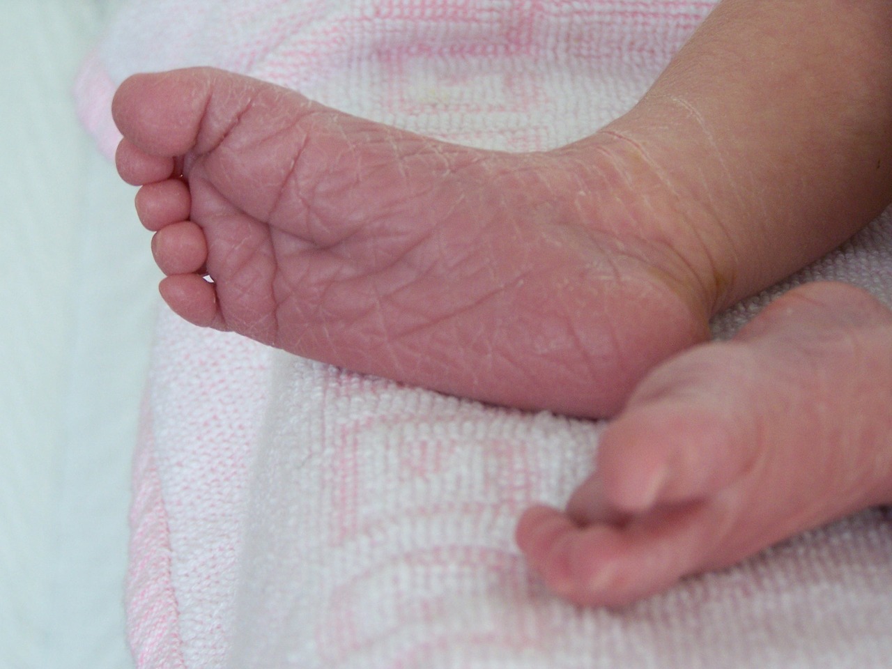 feet baby skin free photo