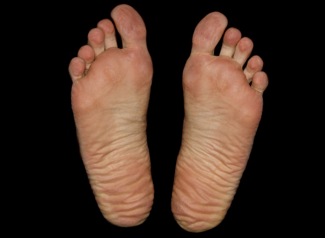 feet foot sole free photo