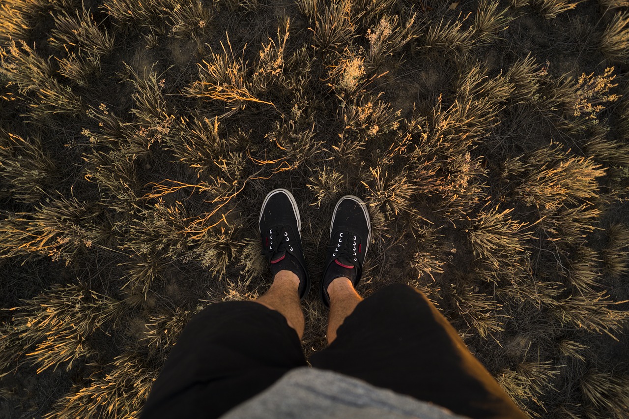 feet grass legs free photo