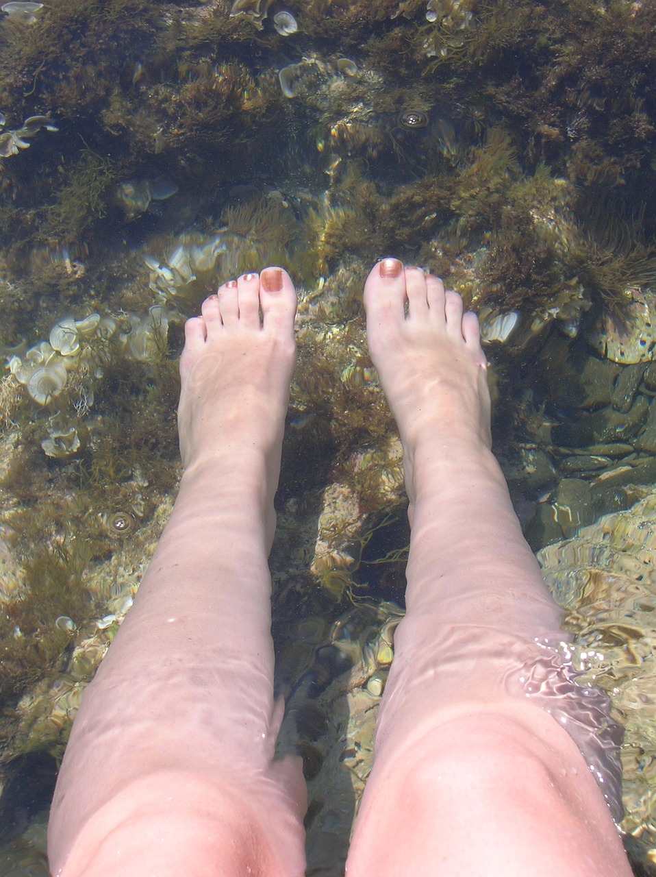 feet water relax free photo