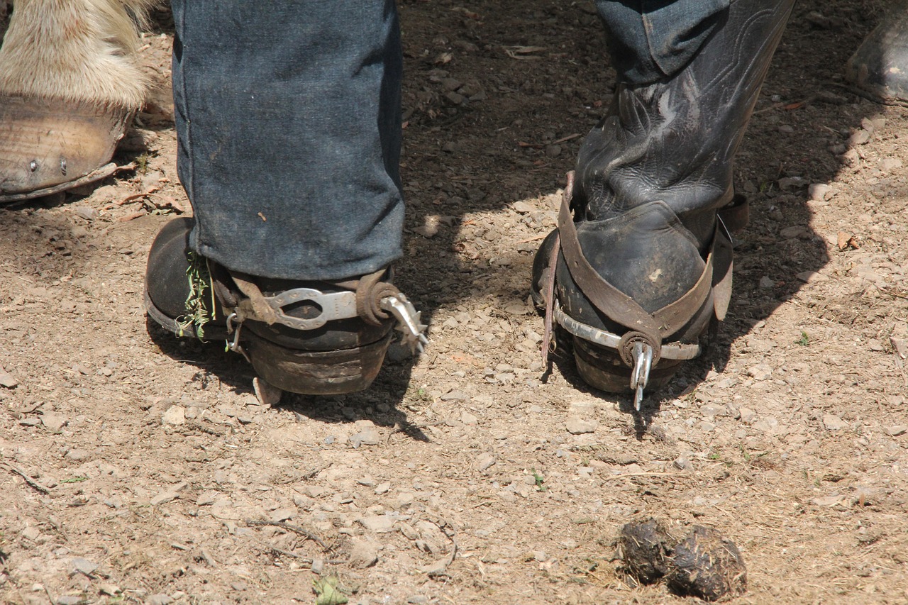 feet  horse  riding boots free photo