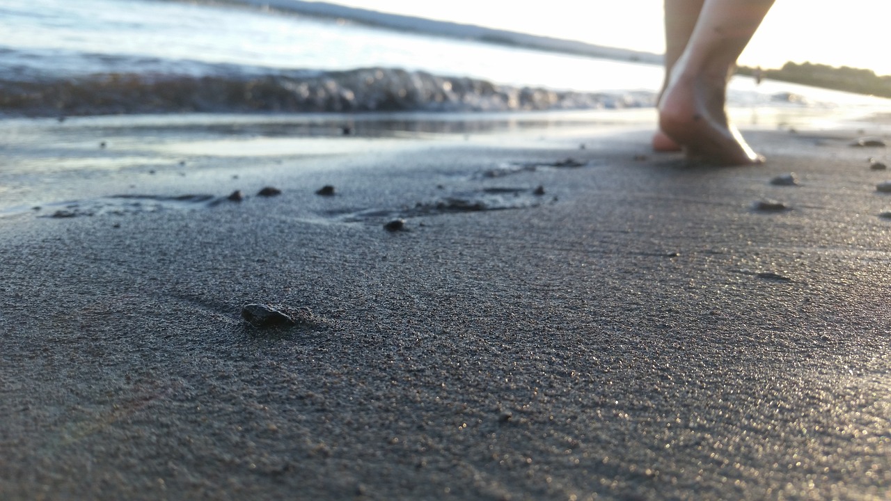 feet  walking  sand free photo