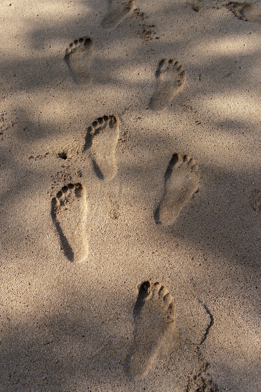 feet  sand  footprint free photo