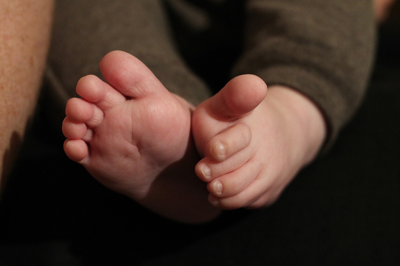 feet  baby  children's free photo