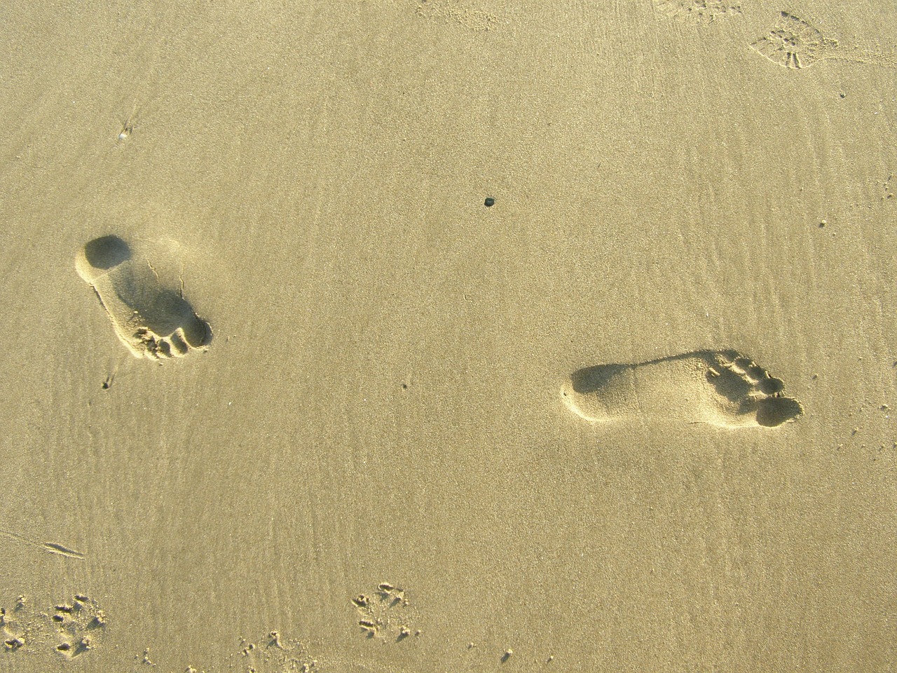 feet print footprint free photo