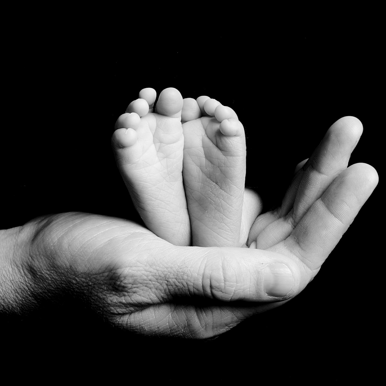 feet newborn parent free photo