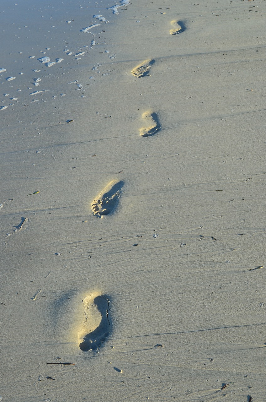 feet beach sea free photo