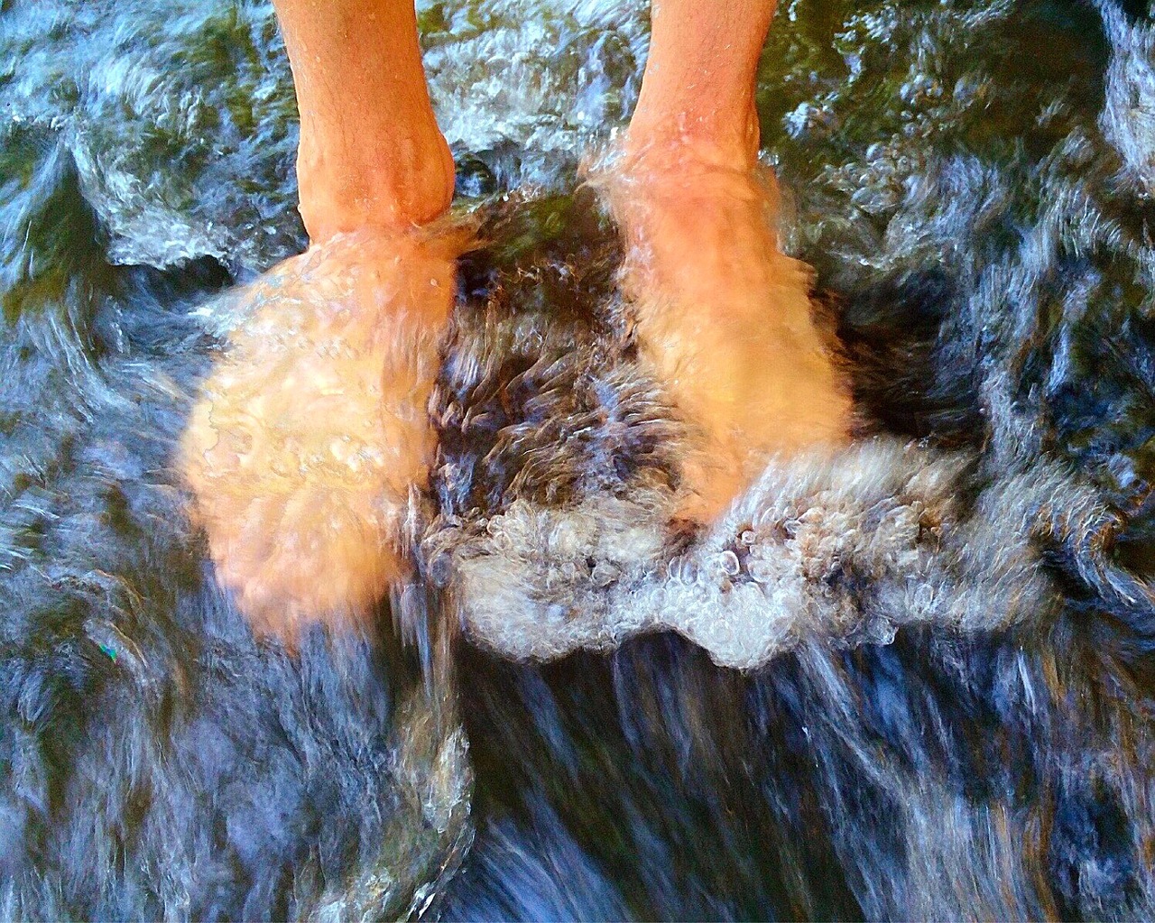 feet river water free photo