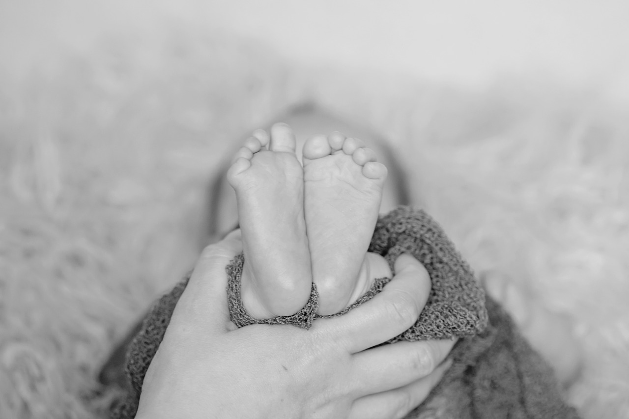 feet baby feet newborn free photo