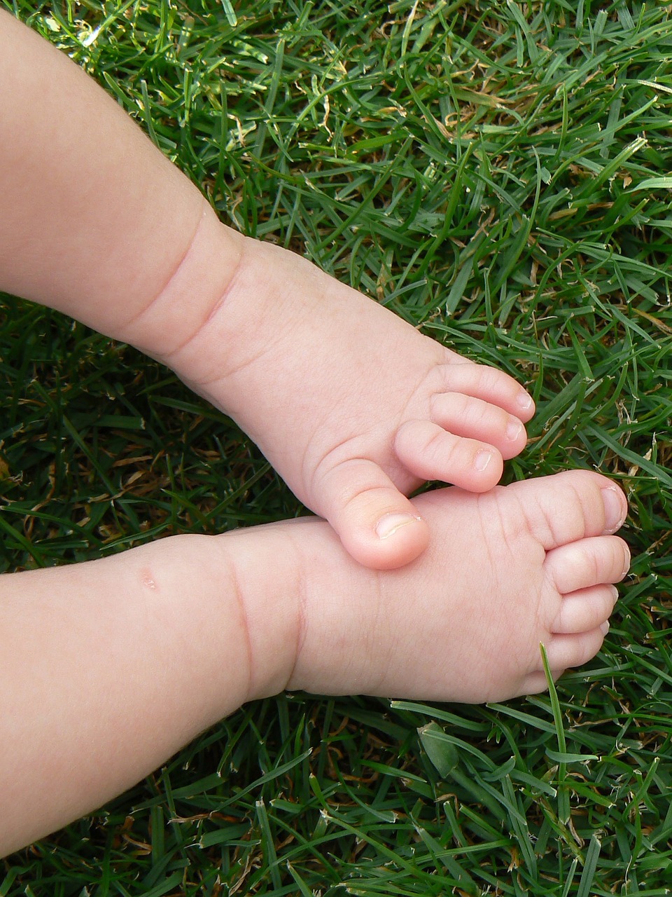 feet baby lawn free photo