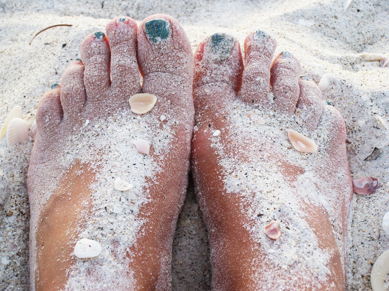 feet in the sand warm sand beach free photo