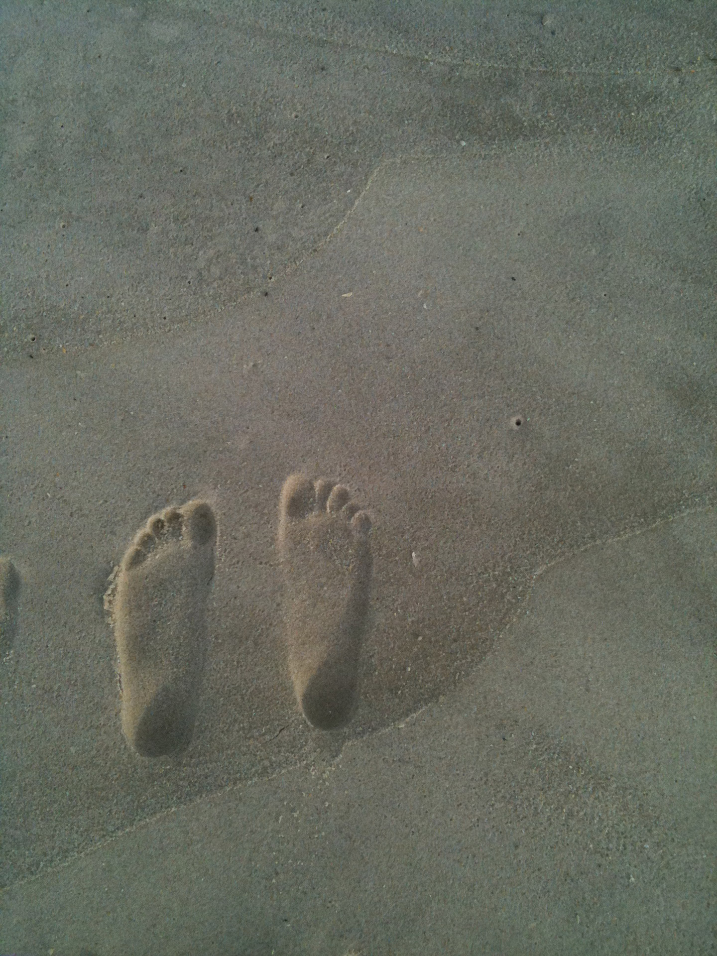 footprints beach sand free photo