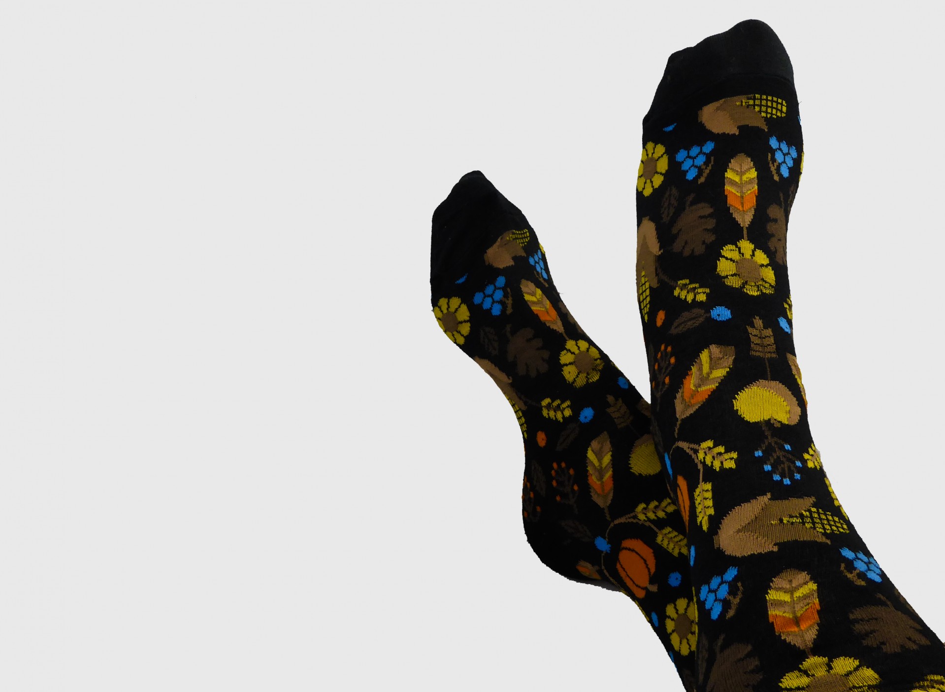 autumn thanksgiving socks free photo