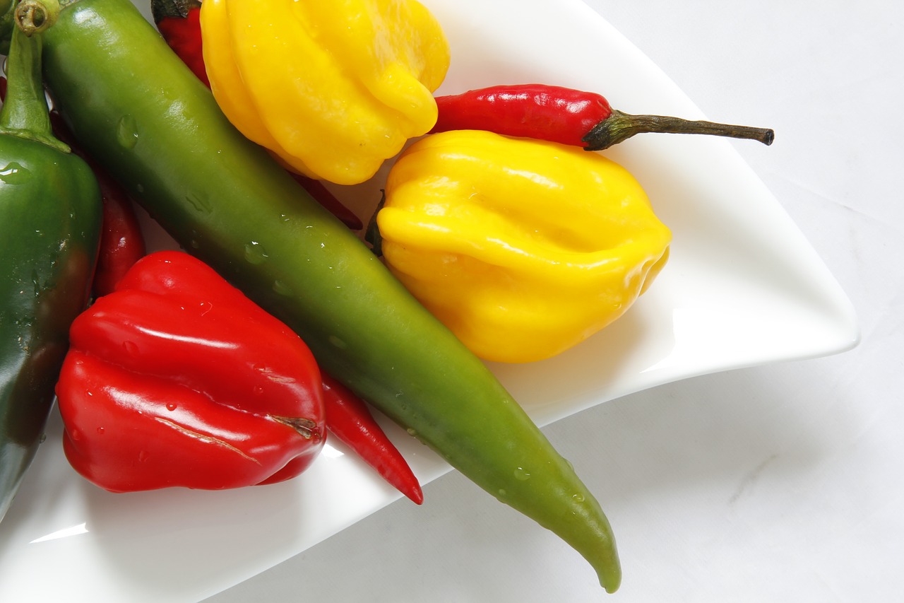 feferon pepper cuisine free photo