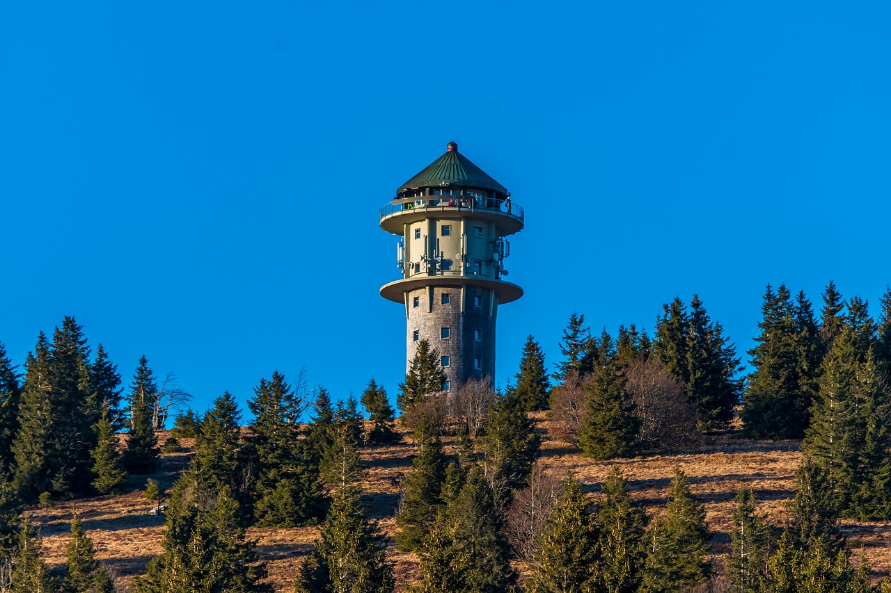 feldberg black forest view free photo