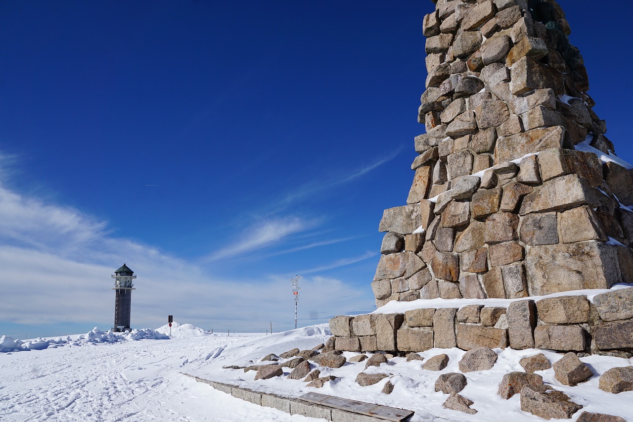 feldberg  nature  snow free photo