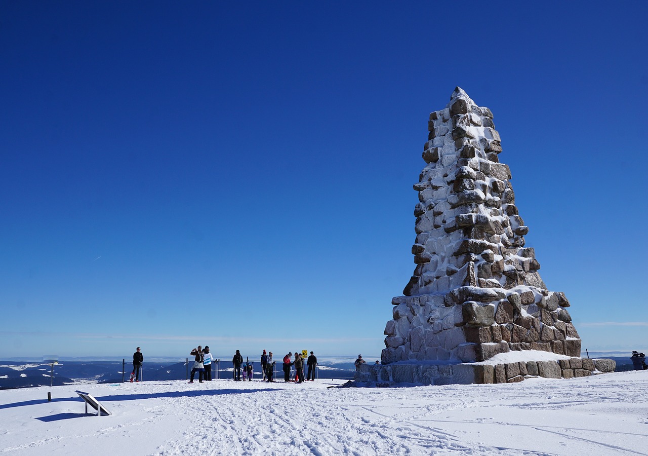 feldberg  nature  snow free photo