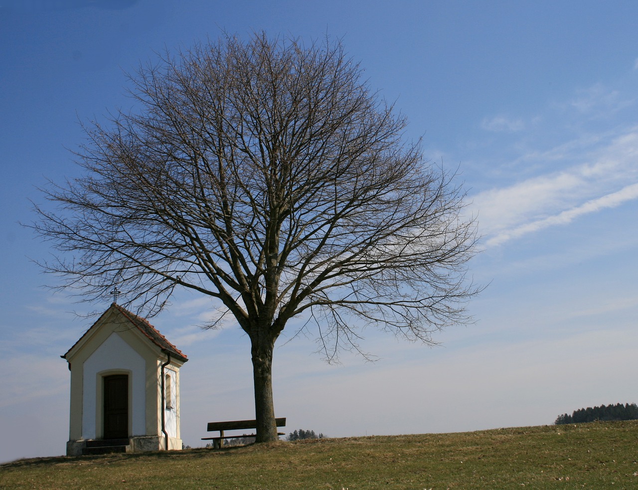 feldkapelle tree bank free photo