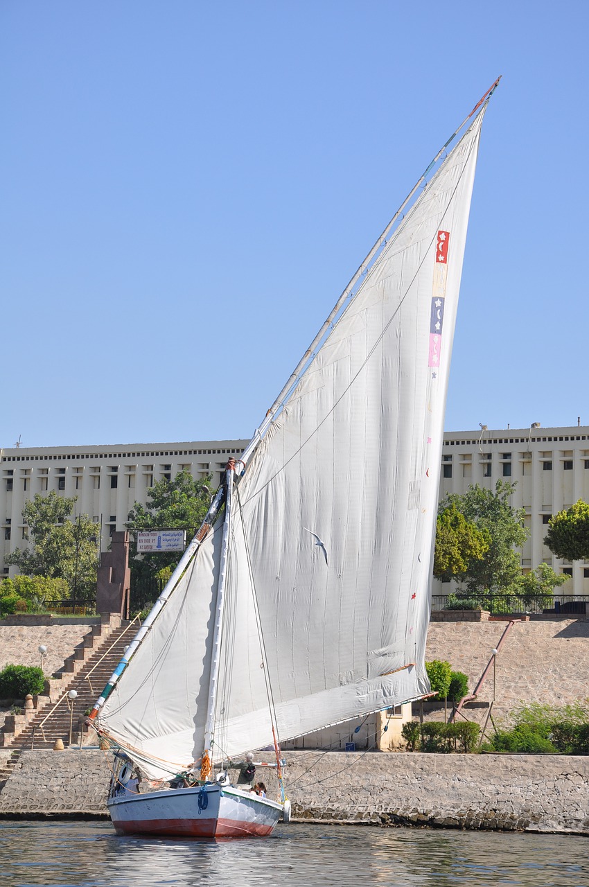 felucca  sailing  egyptian free photo