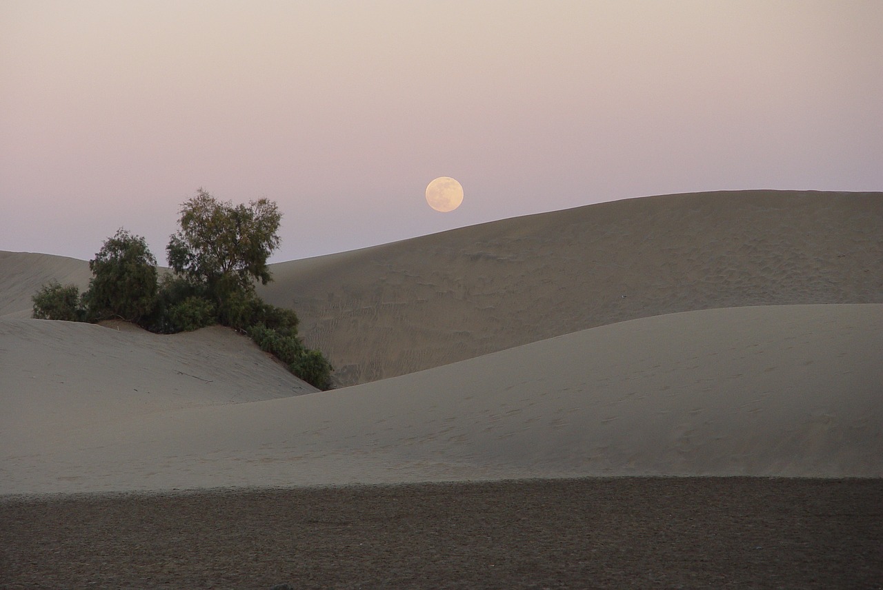feminine moon dune free photo