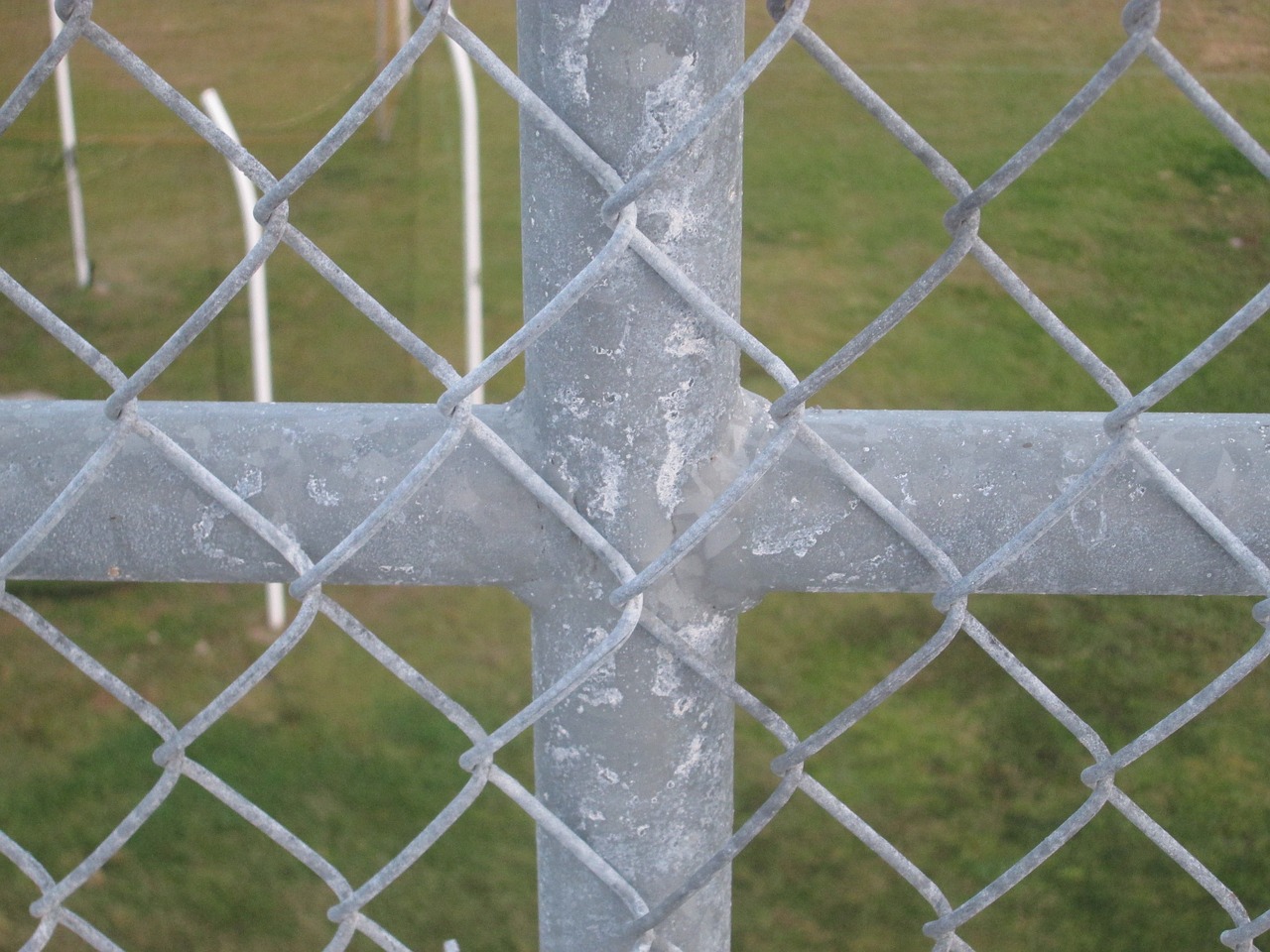 fence grass green free photo