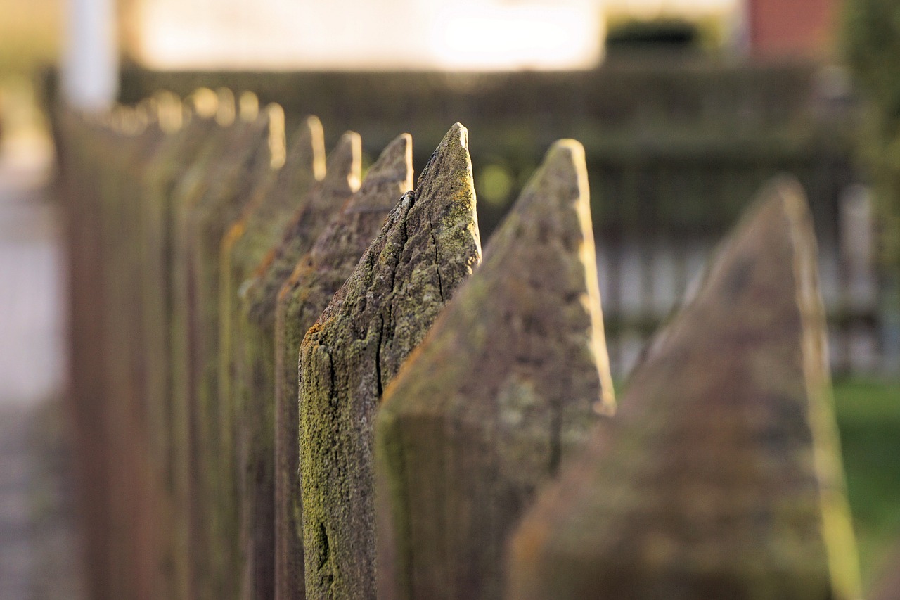 fence wood wood fence free photo