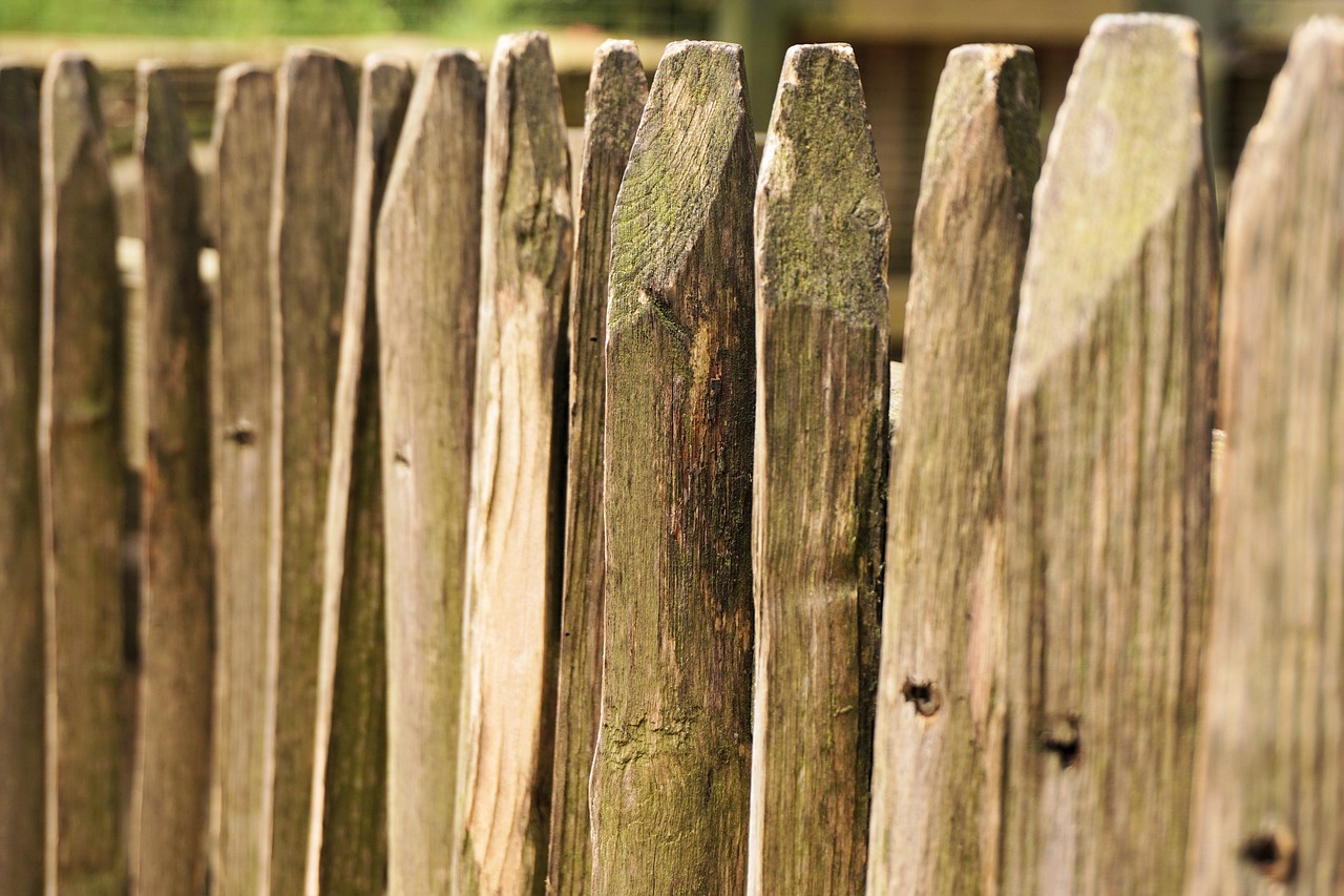 fence wood battens free photo