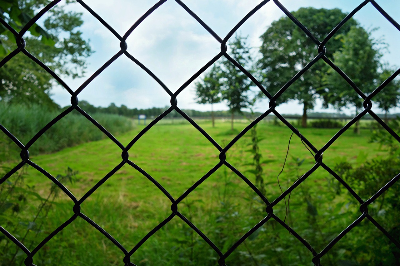 fence wire mesh free photo