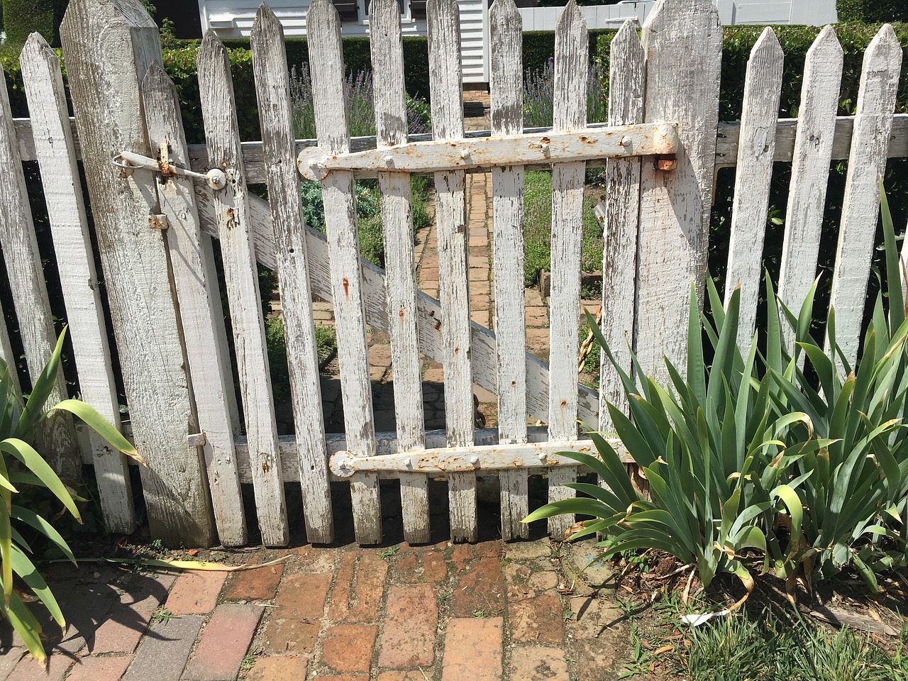 fence america white free photo