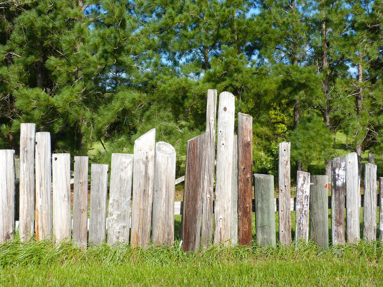 fence telephone poles wooden fence free photo