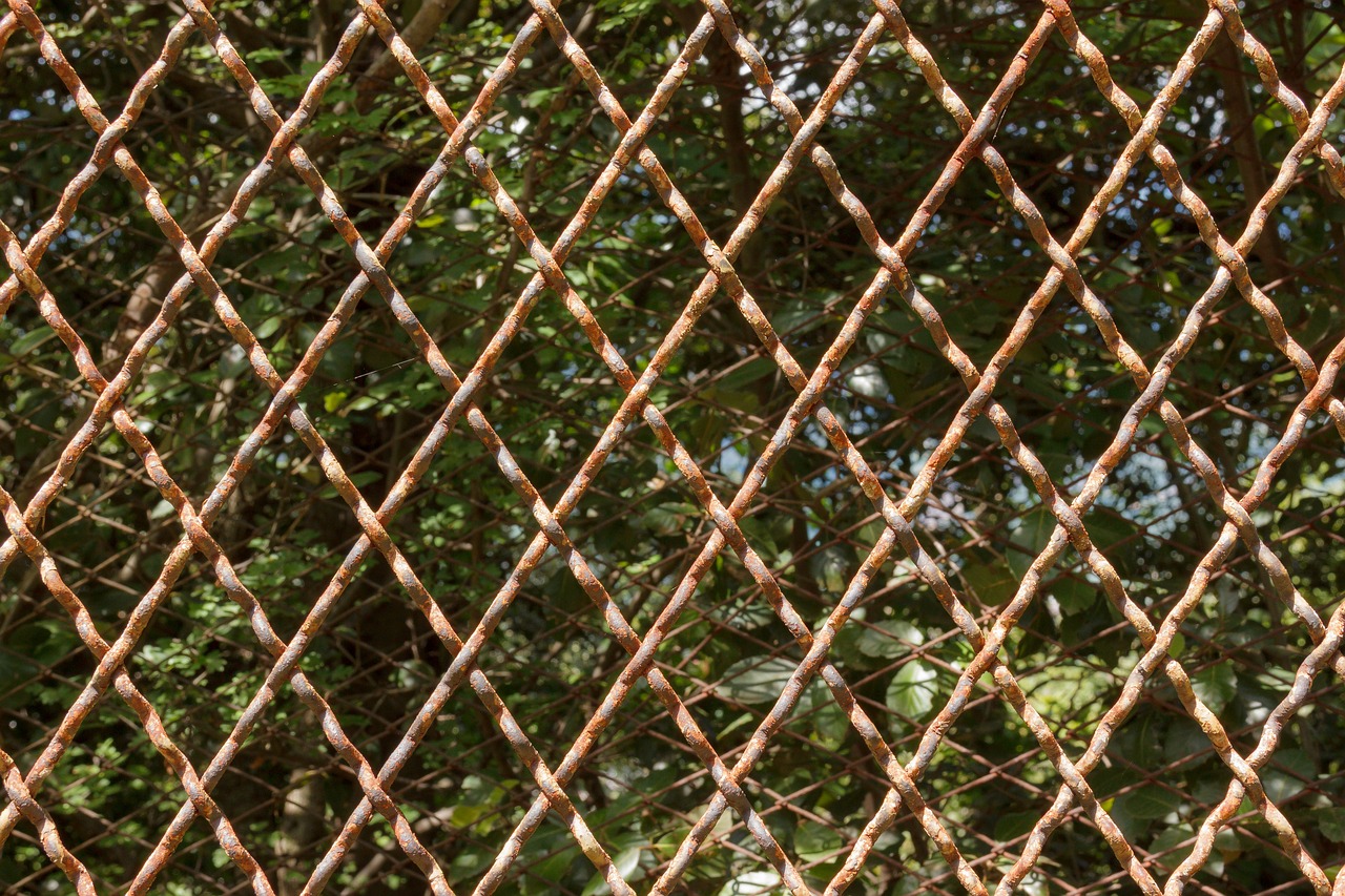 fence pattern diamond free photo